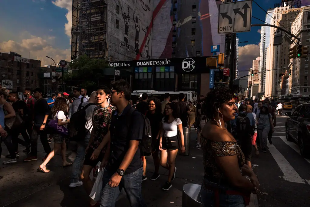 Summer Day Light in NY